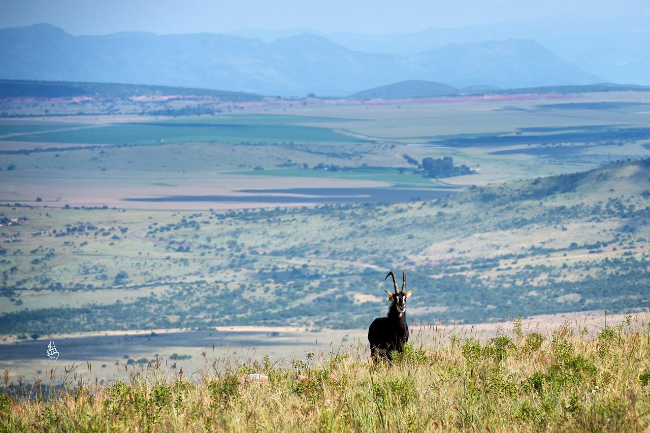 Mount High Luxury Country Estate Lydenburg Exterior foto